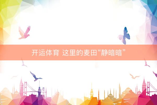 开运体育 这里的麦田“静暗暗”
