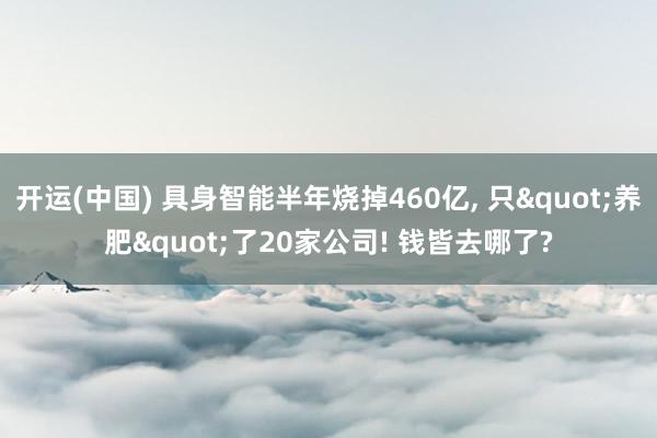 开运(中国) 具身智能半年烧掉460亿, 只"养肥"了20家公司! 钱皆去哪了?